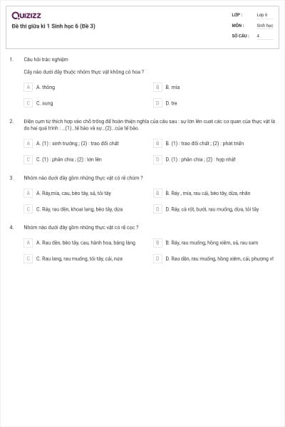 Đề thi giữa kì 1 Sinh học 6 (Đề 3)