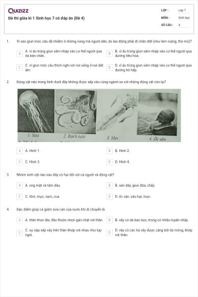 Đề thi giữa kì 1 Sinh học 7 có đáp án (Đề 4)