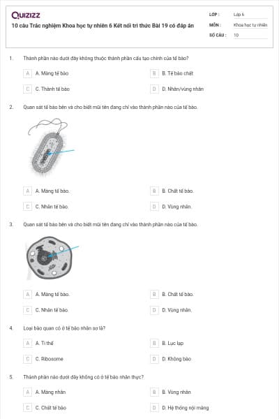 10 câu Trắc nghiệm Khoa học tự nhiên 6 Kết nối tri thức Bài 19 có đáp án