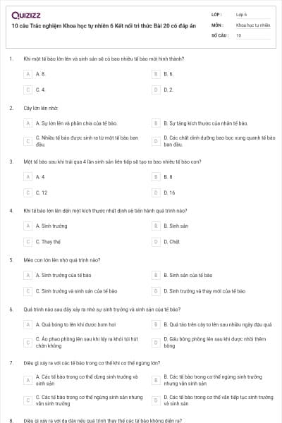 10 câu Trắc nghiệm Khoa học tự nhiên 6 Kết nối tri thức Bài 20 có đáp án