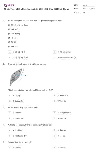 10 câu Trắc nghiệm Khoa học tự nhiên 6 Kết nối tri thức Bài 22 có đáp án