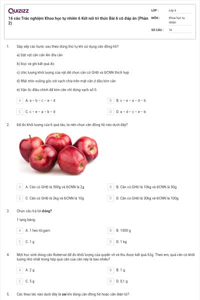 16 câu Trắc nghiệm Khoa học tự nhiên 6 Kết nối tri thức Bài 6 có đáp án (Phần 2)