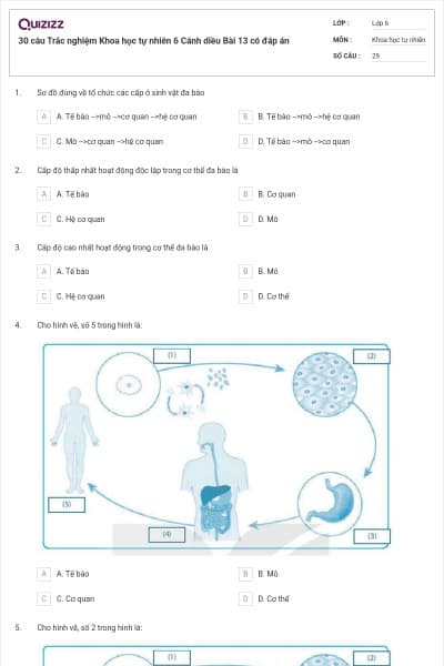 30 câu Trắc nghiệm Khoa học tự nhiên 6 Cánh diều Bài 13 có đáp án