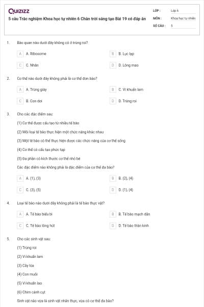 5 câu Trắc nghiệm Khoa học tự nhiên 6 Chân trời sáng tạo Bài 19 có đáp án