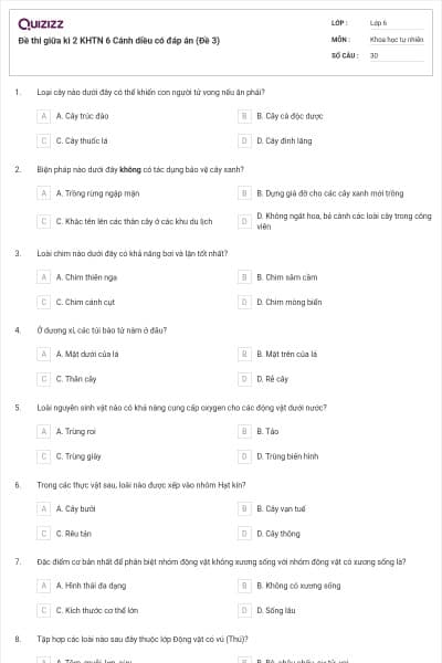Đề thi giữa kì 2 KHTN 6 Cánh diều có đáp án (Đề 3)
