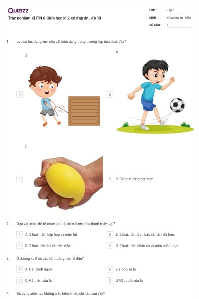 Trắc nghiệm KHTN 6 Giữa học kì 2 có đáp án_ đề 10