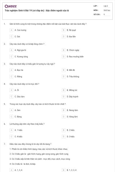 Trắc nghiệm Sinh 6 Bài 19 (có đáp án) : Đặc điểm ngoài của lá